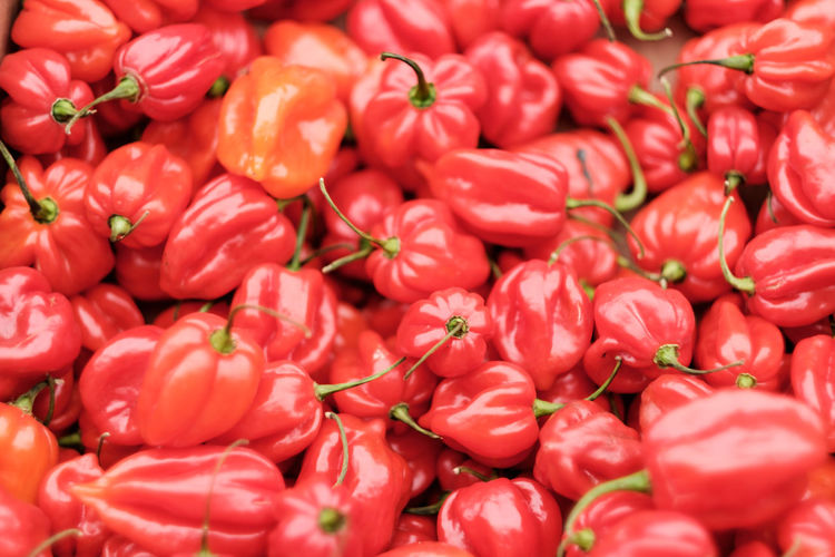 Full frame shot of red tomatoes
