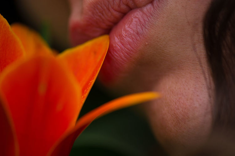 Cropped image of woman kissing orange flower