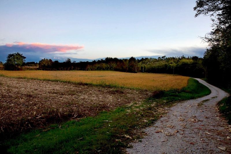Road amidst field against sky