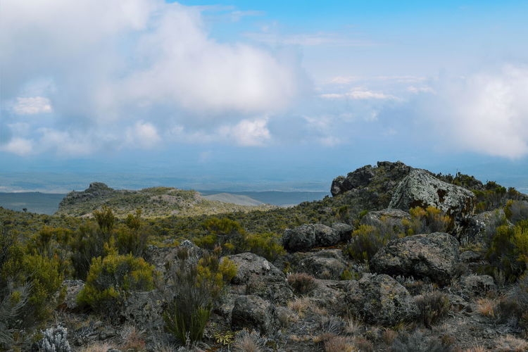 Volcanic rock formations at mount kilimanjaro, tanzania