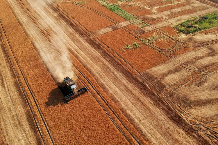 Tractor on agricultural field