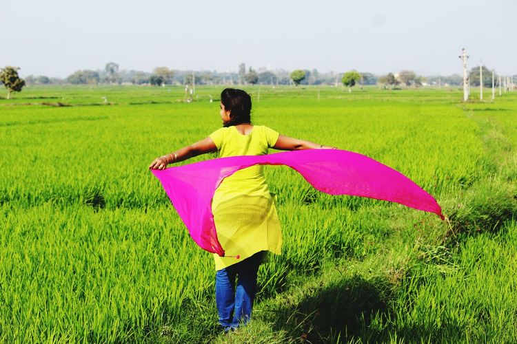 Rear view of woman holding dupatta on agricultural landscape