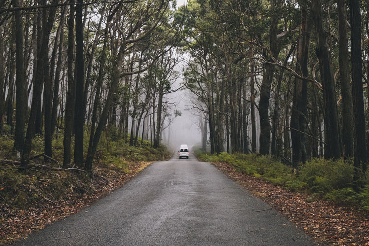 Campervan driving through the road on a foggy day at the lush forest of the grampians national park, victoria, australia