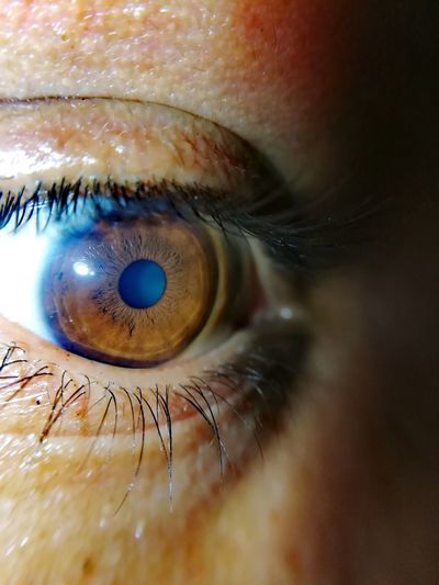 Close-up of human eye