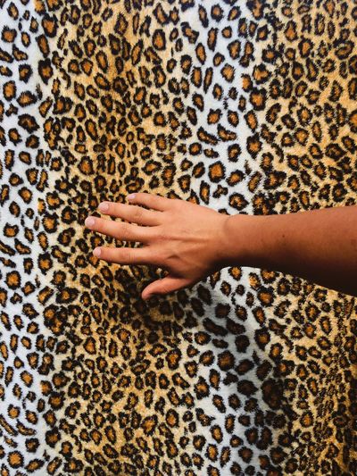 Cropped hand against leopard print fabric