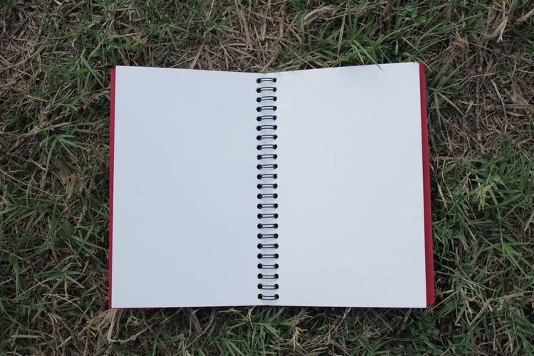 High angle view of book on grass