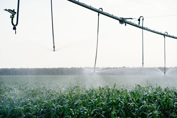 Center pivot sprinkler used for irrigation agricultural field with green plants in farmland