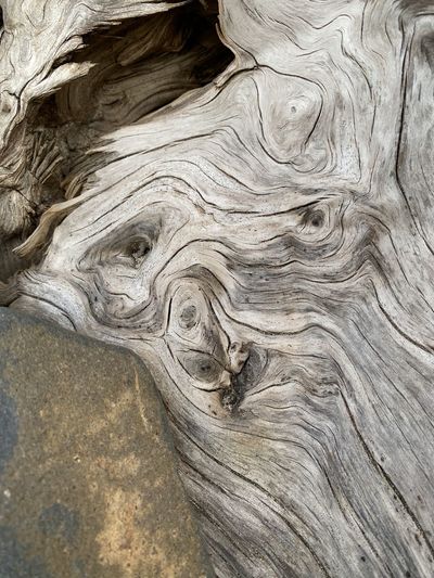 wood