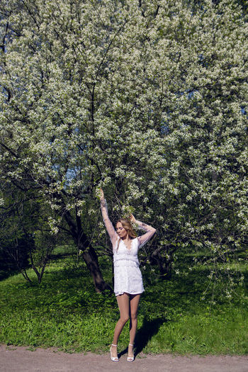 Young woman a white little flowers of almond tree sakura, cherry in sunny day