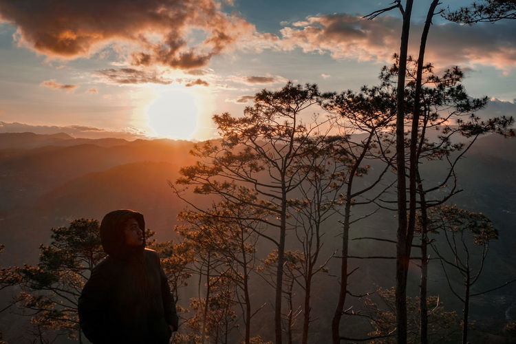 Silhouette person standing by tree against sky during sunset