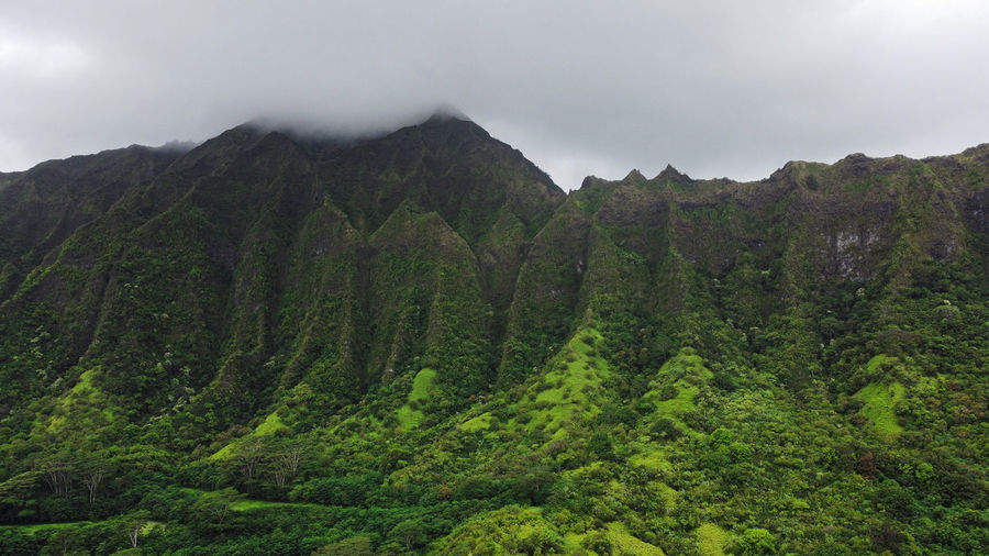 Tropical mountain range of hawaii