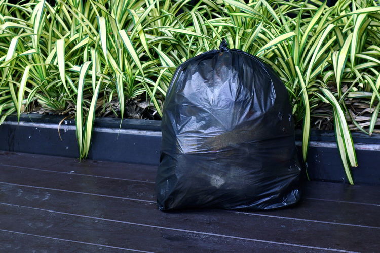 Garbage bag against plants