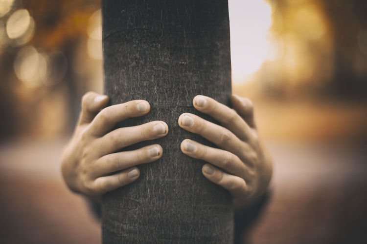Close-up of man hand on tree trunk