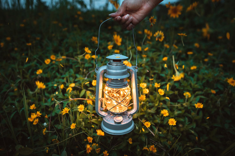 Cropped image of woman holding illuminated lantern on field