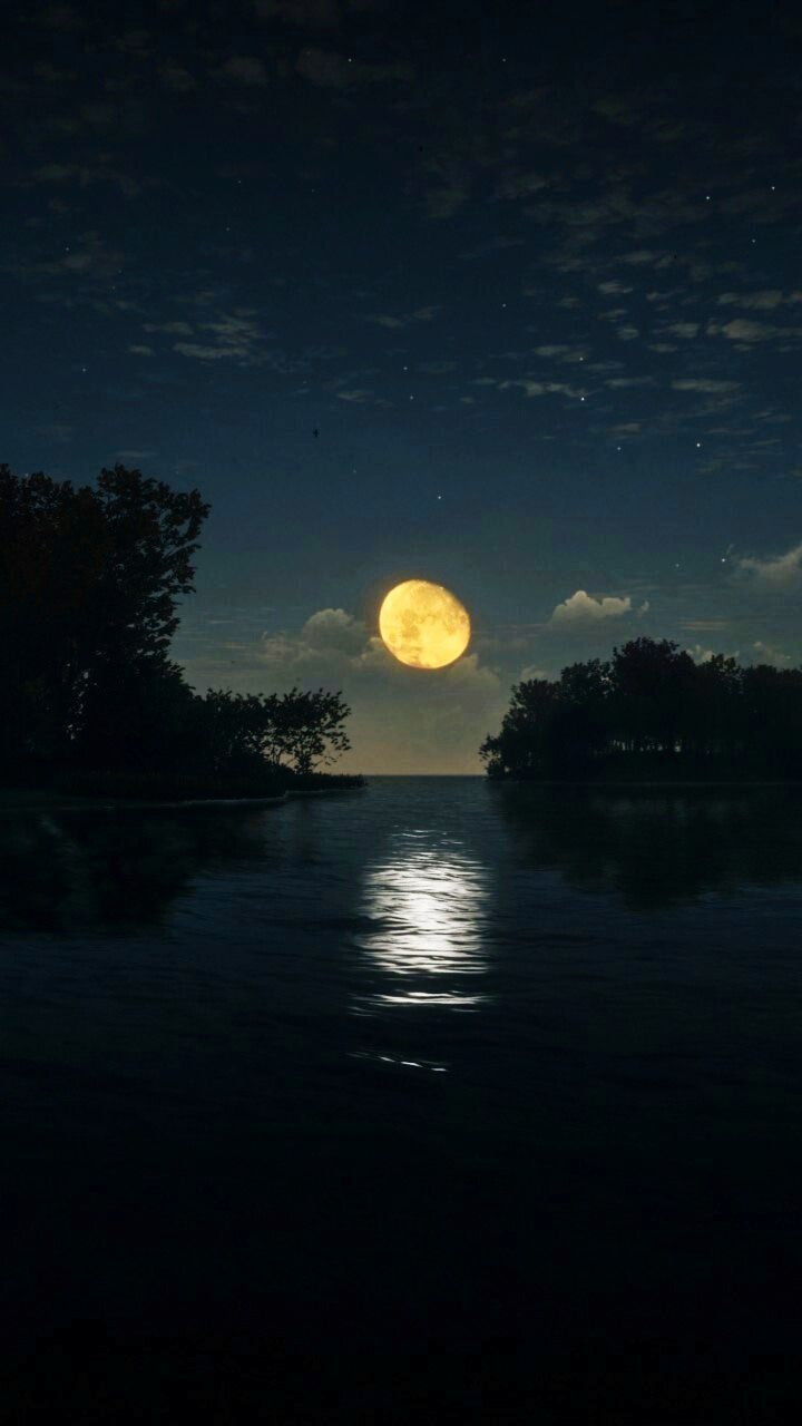 moonlight, sky, moon, night, full moon, scenics - nature, tranquility, light, water, beauty in nature, reflection, tree, darkness, tranquil scene, nature, astronomical object, dawn, no people, evening, horizon, plant, cloud, astronomy, space, sunset, idyllic, outdoors, sea, land, circle, silhouette, geometric shape, non-urban scene, shape, dark