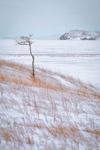 Scenic view of snow covered land and sea against sky