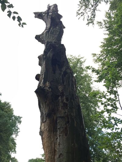 Sculpture of tree against sky