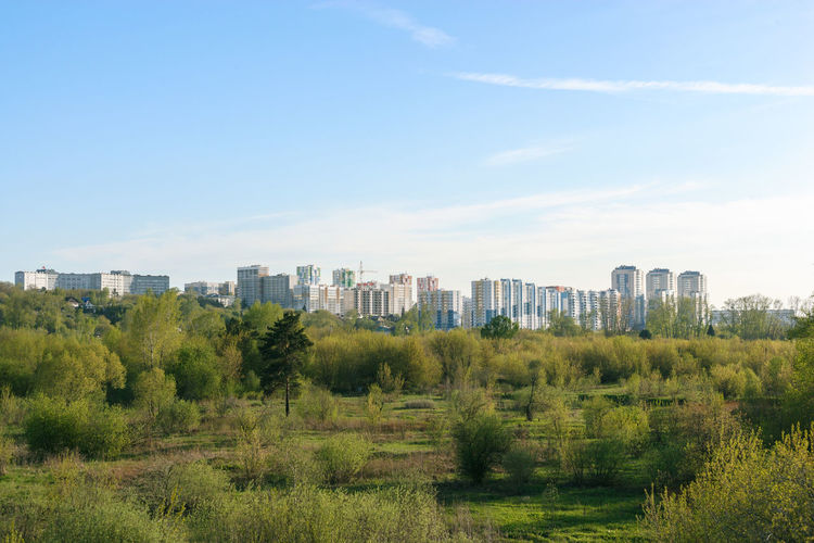 Trees and buildings in city against sky