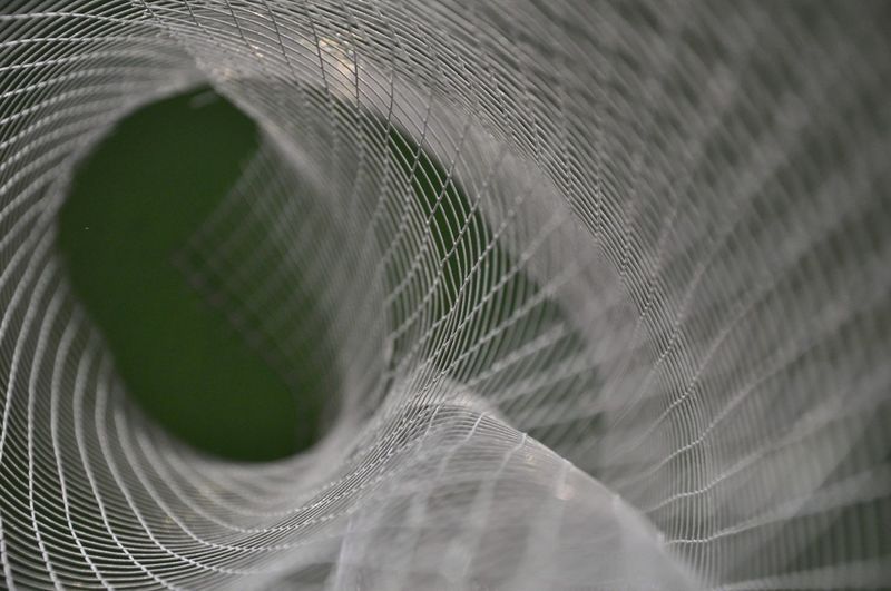 Close-up of metallic net