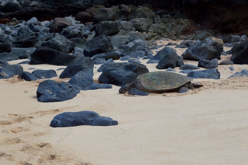 Rocks on sand at beach