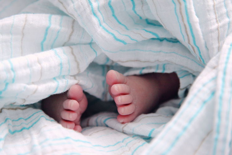 Close-up of baby feet in hand