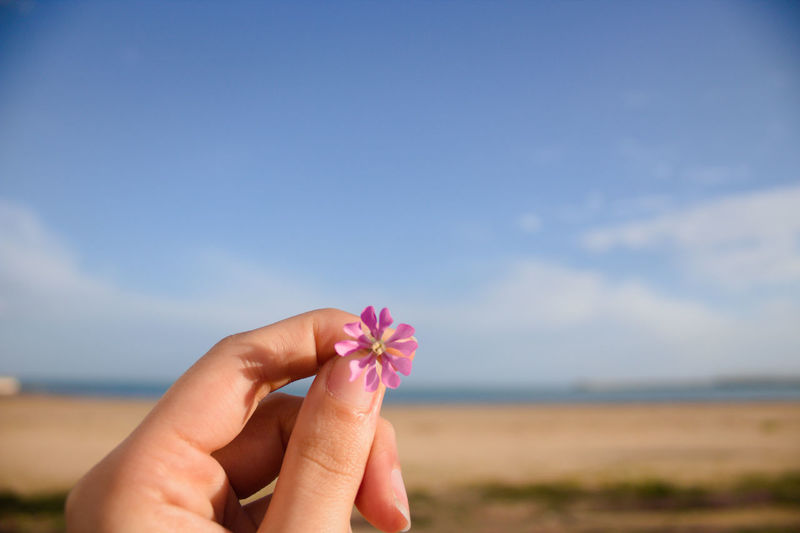 Close-up of hand holding pink flower against sky