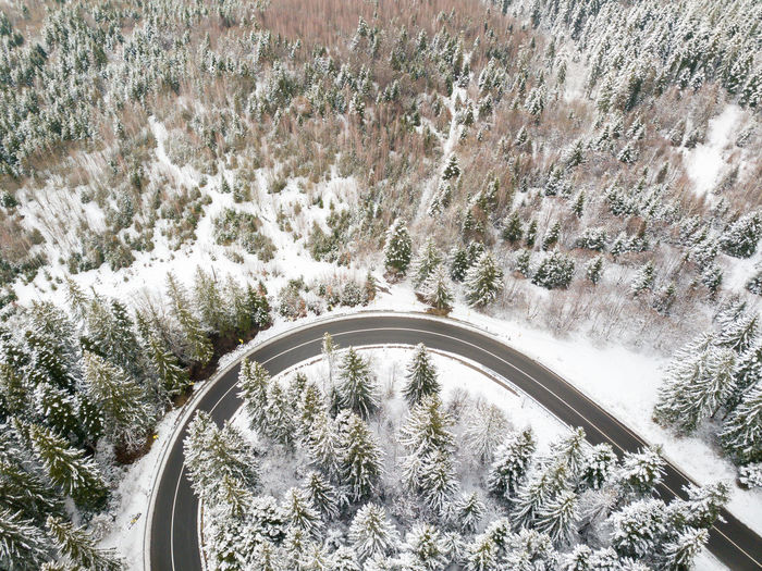 High angle view of road amidst trees during winter