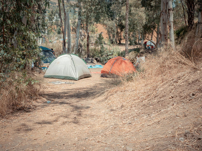 Tents in forest