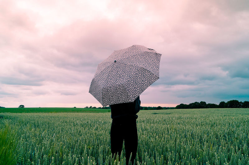 Rear view of person under umbrella standing on wheat field