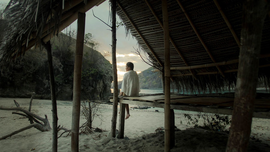 Rear view of woman sitting on wood at beach