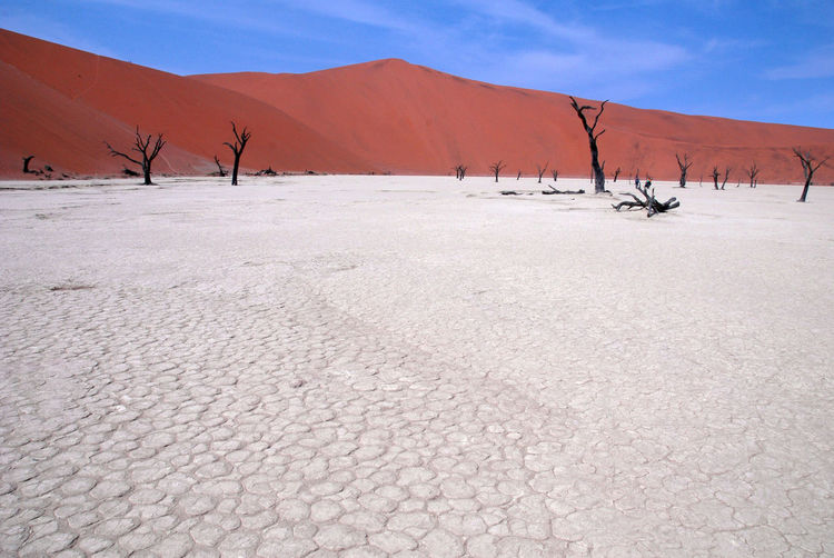 Sand dunes in a desert