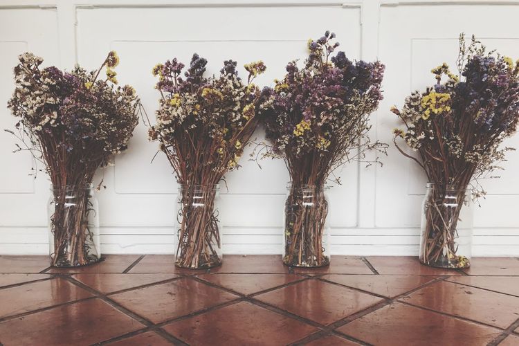 Potted plants on tiled floor