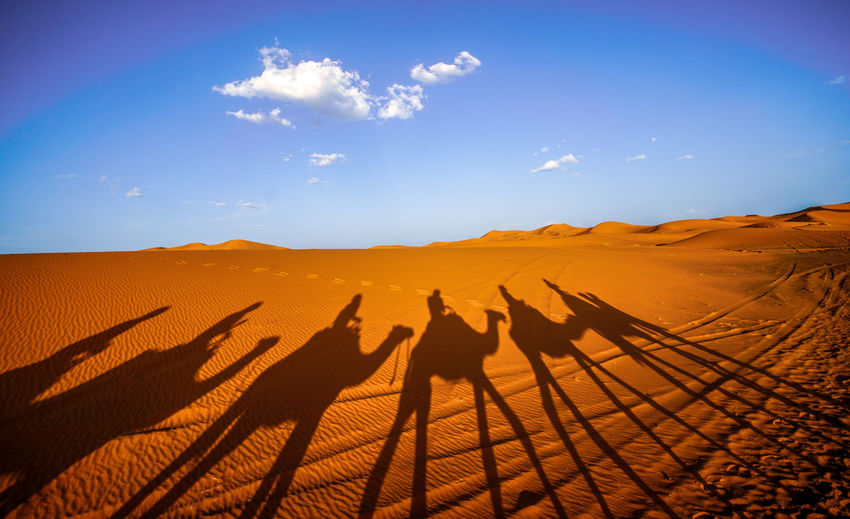 Panoramic view of sand dunes in desert against sky