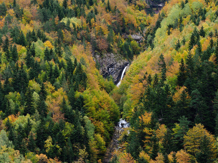 Early fall at the entrance to the bujaruelo valley, spain