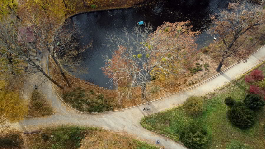 High angle view of road