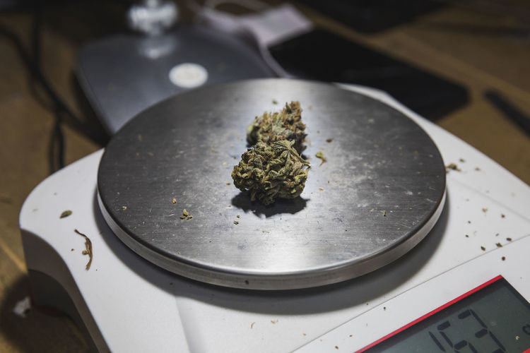 Weighing scales with dry marijuana floral buds on table in room on blurred background