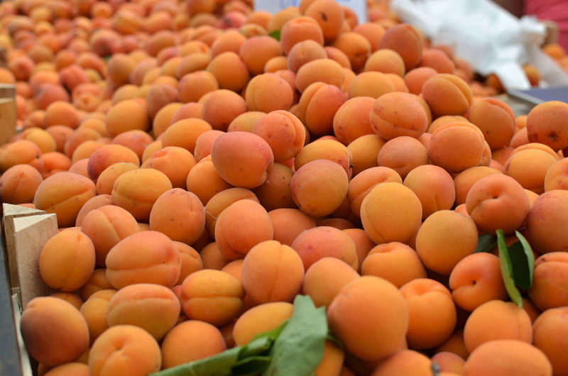 Ripe apricots on green market desk in spring