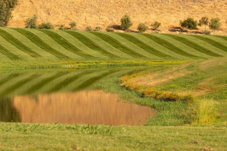 Scenic view of golf course in water reflection