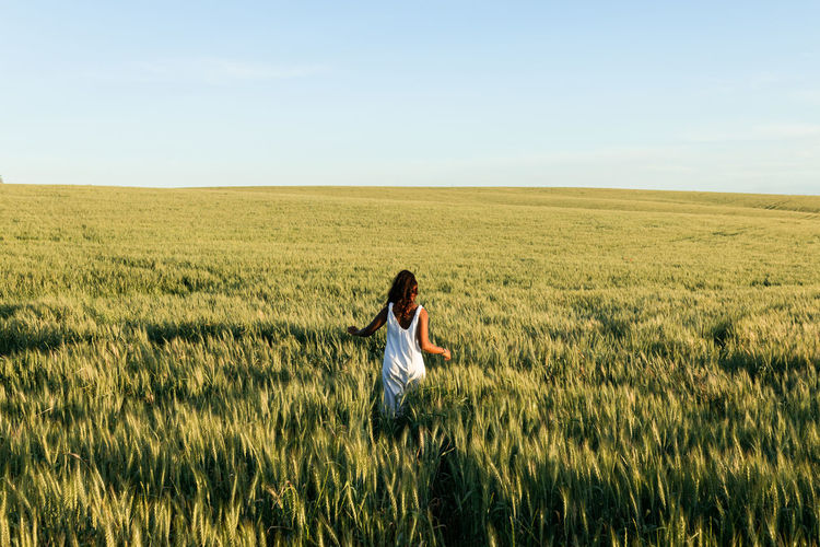 Back view young black lady in white summer dress strolling on green wheat field while looking away in daytime under blue sky