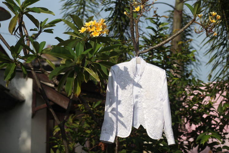 Close-up of clothes drying on plant against trees