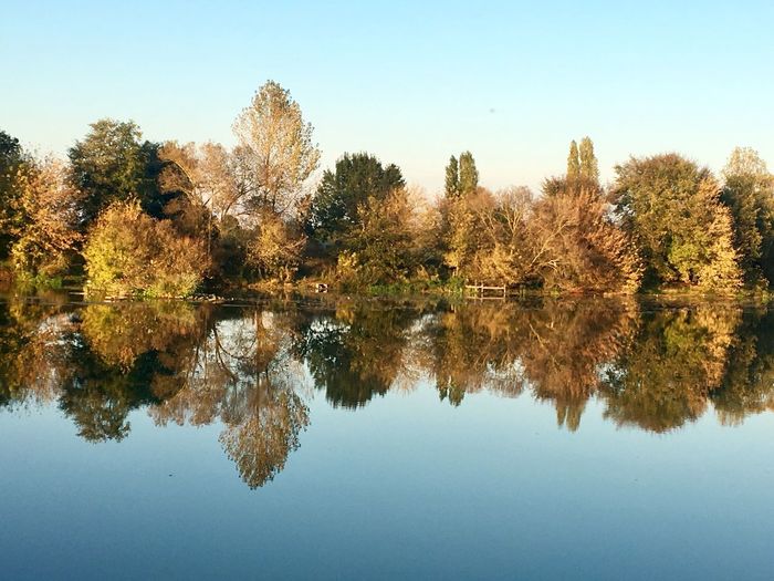Reflection of trees in lake against sky