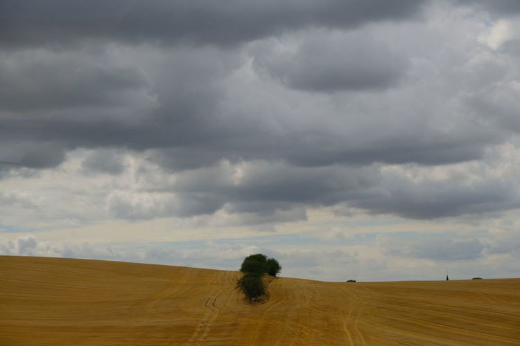 Scenic view of agricultural field against sky