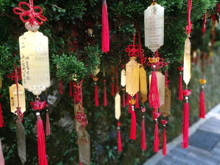 Close-up of prayer blocks hanging on tree in temple