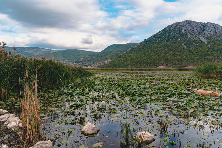 Scenic view of lake against sky