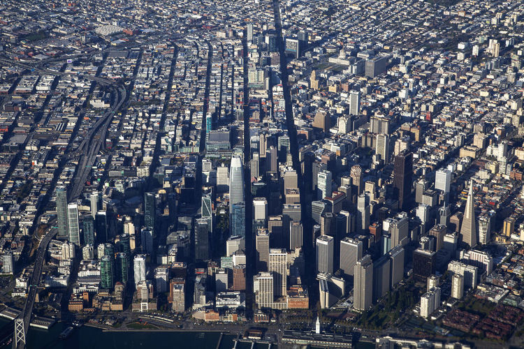 Aerial photography of san francisco city