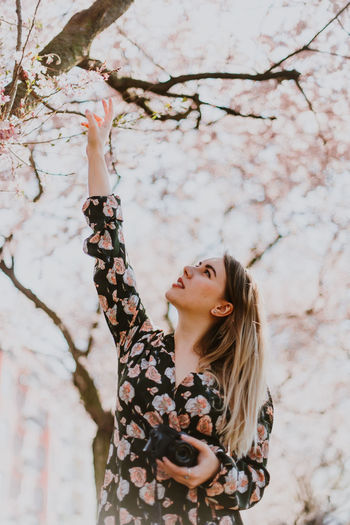 Woman touching cherry blossom 
