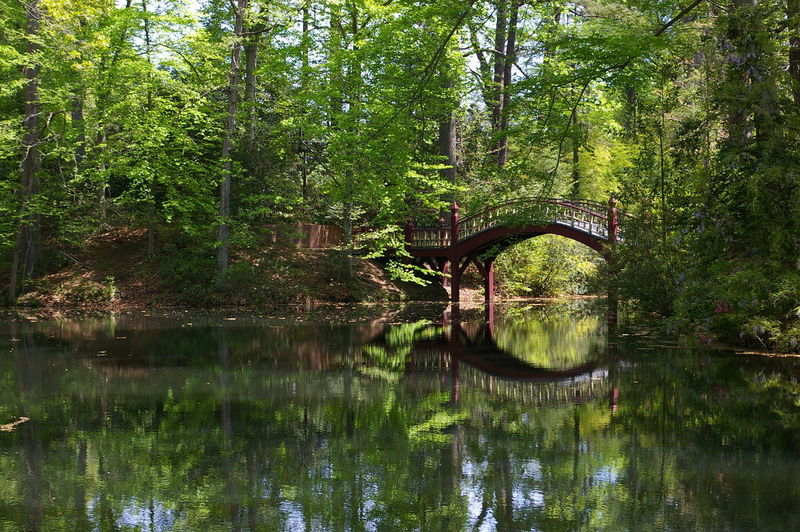 Arch bridge over lake in forest