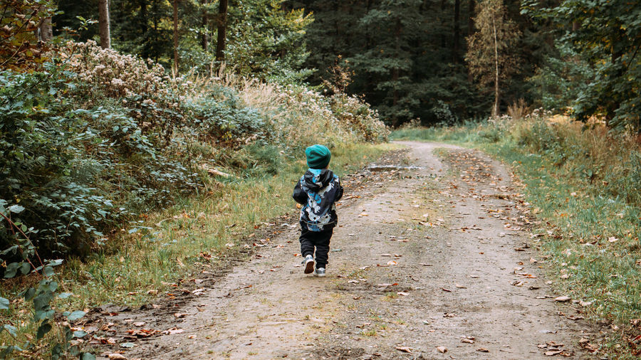 Rear view of boy walking on footpath in forest