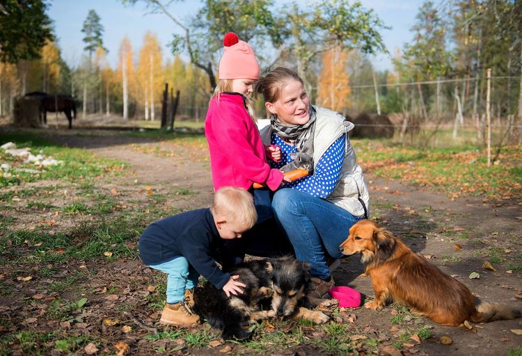 Happy family-mother with children hugging and feeds pets dogs, cats and goats in countryside farm