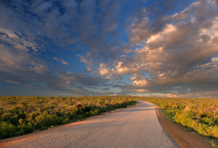 Road amidst trees against sky during sunset